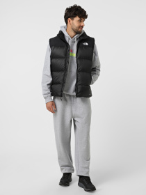 Жилет з утеплювачем The North Face Diablo Down 2.0 модель NF0A8994GOC1 Фото