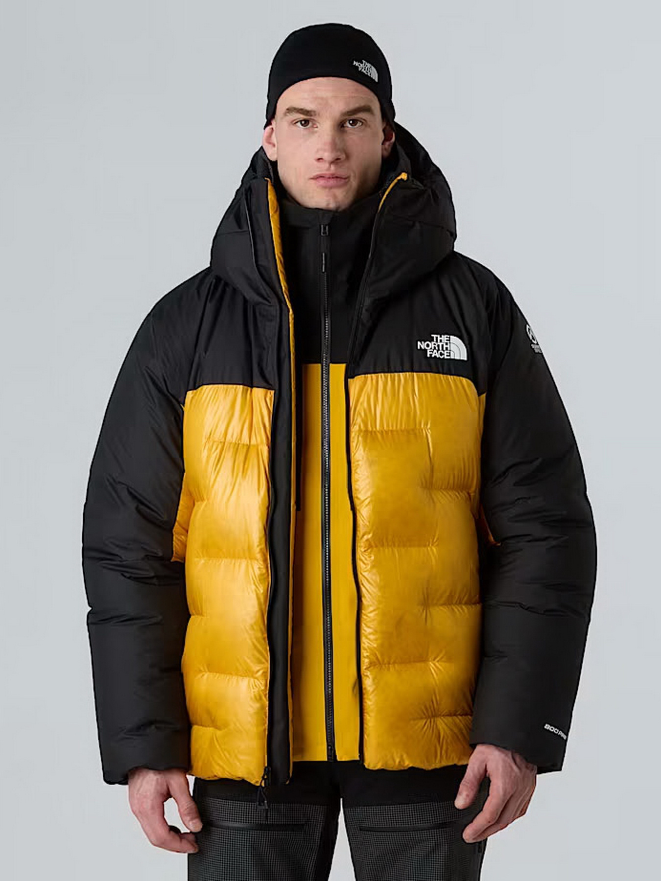 Зимняя куртка The North Face модель NF0A8C95ZU31 Фото