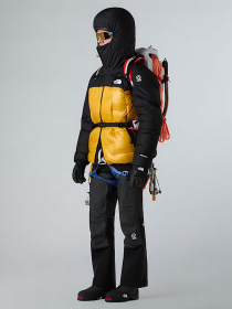 Зимняя куртка The North Face модель NF0A8C95ZU31 Фото