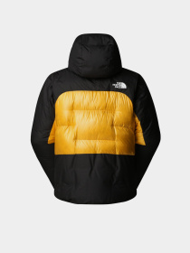 Зимняя куртка The North Face модель NF0A8C95ZU31 Фото
