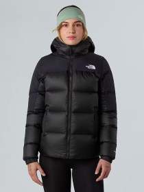 Куртки и дубленки The North Face Diablo Down 2.0 модель NF0A8E13PH51 Фото