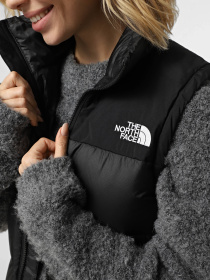 Утепленный жилет The North Face модель NF0A8E15PH51 Фото