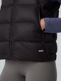 Жилет с утеплителем The North Face Hyalite модель NF0A8E71JK31 Фото