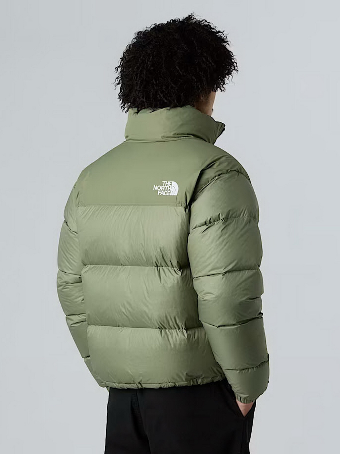 Зимняя куртка The North Face модель NF0A3C8DBO91 Фото