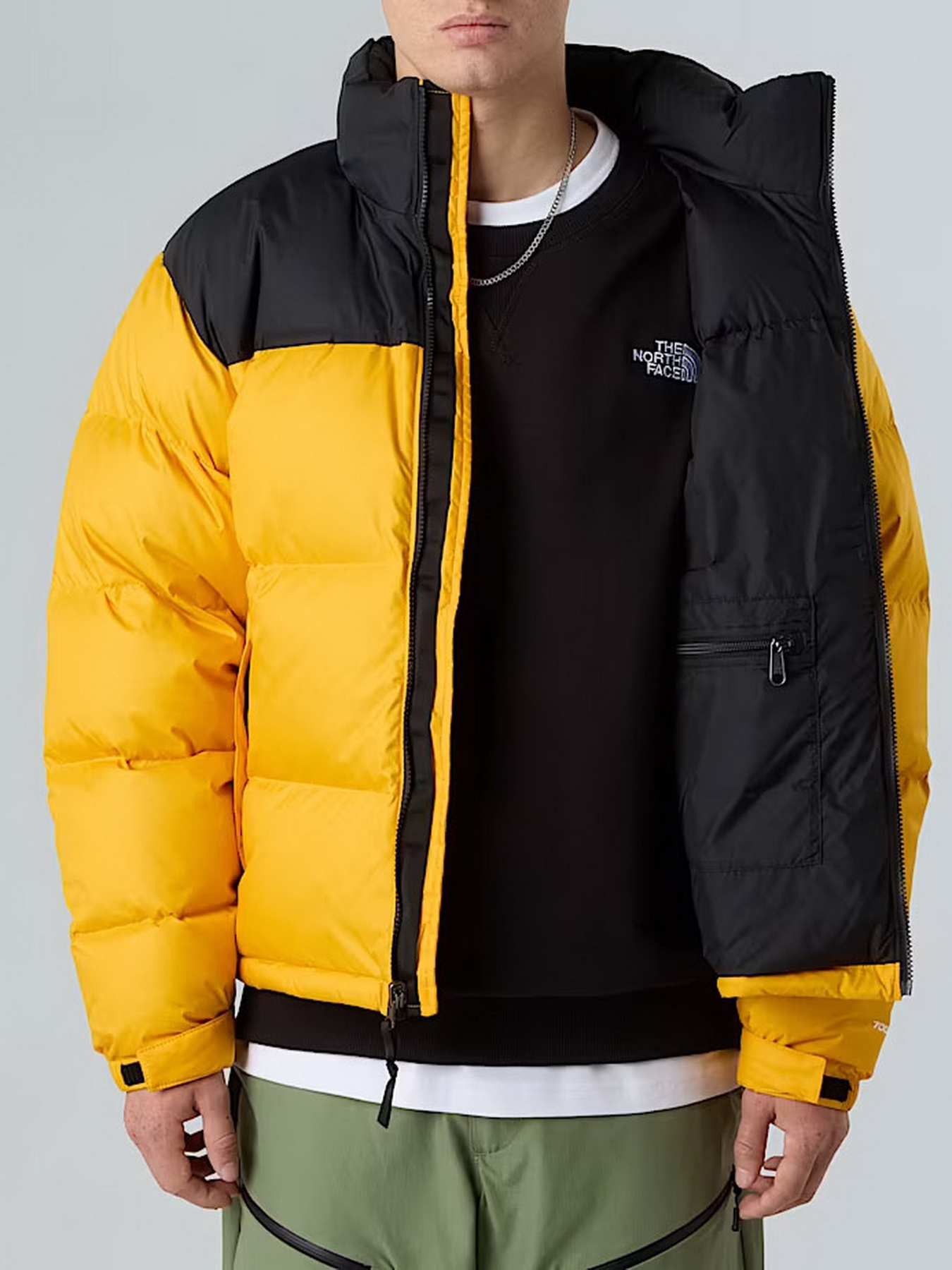 Пуховик The North Face модель NF0A3C8DGO81 Фото