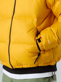 Пуховик The North Face модель NF0A3C8DGO81 Фото