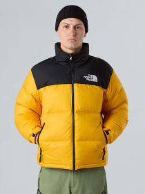 Пуховик The North Face модель NF0A3C8DGO81 Фото