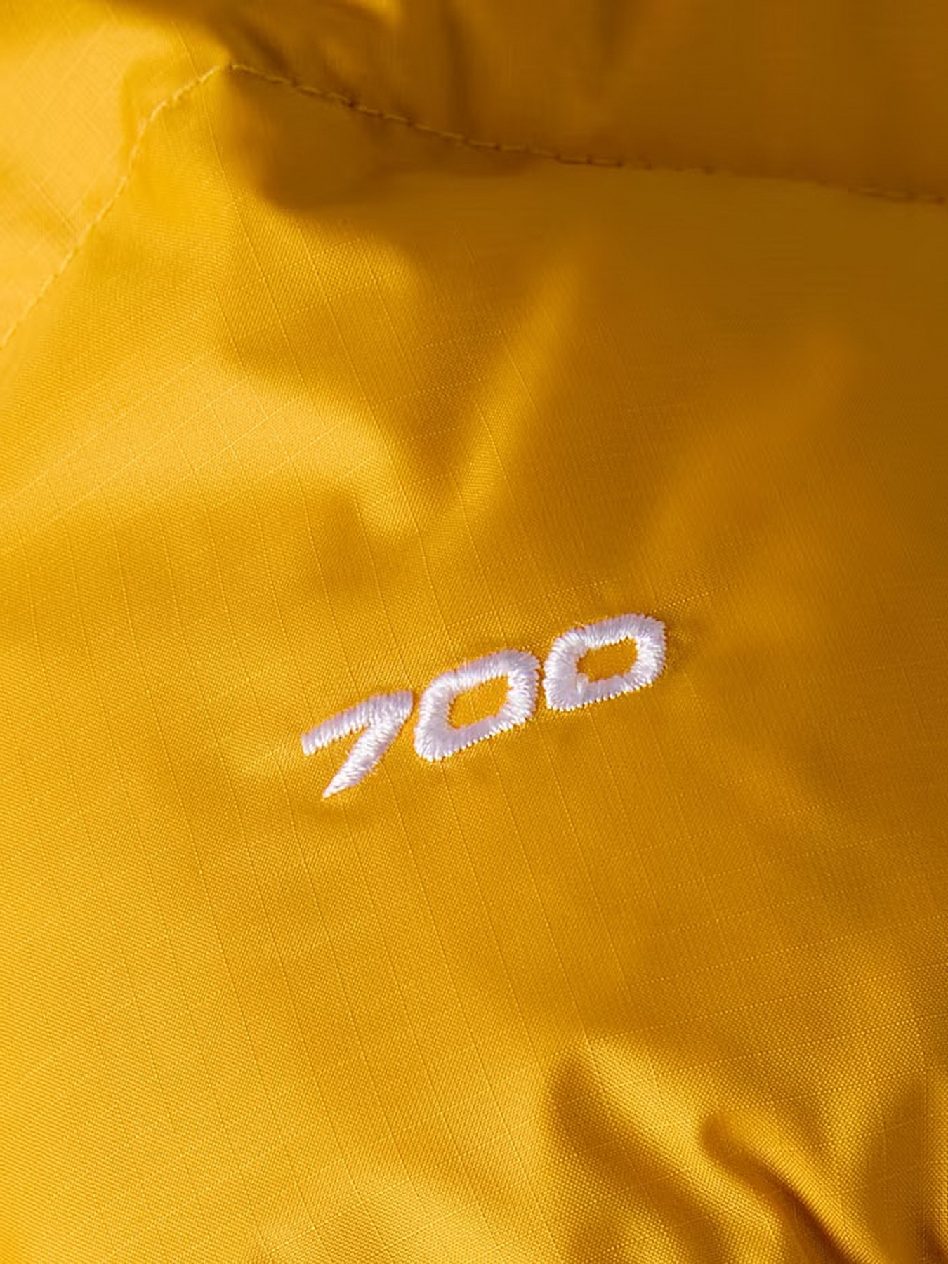 Пуховик The North Face модель NF0A3C8DGO81 Фото