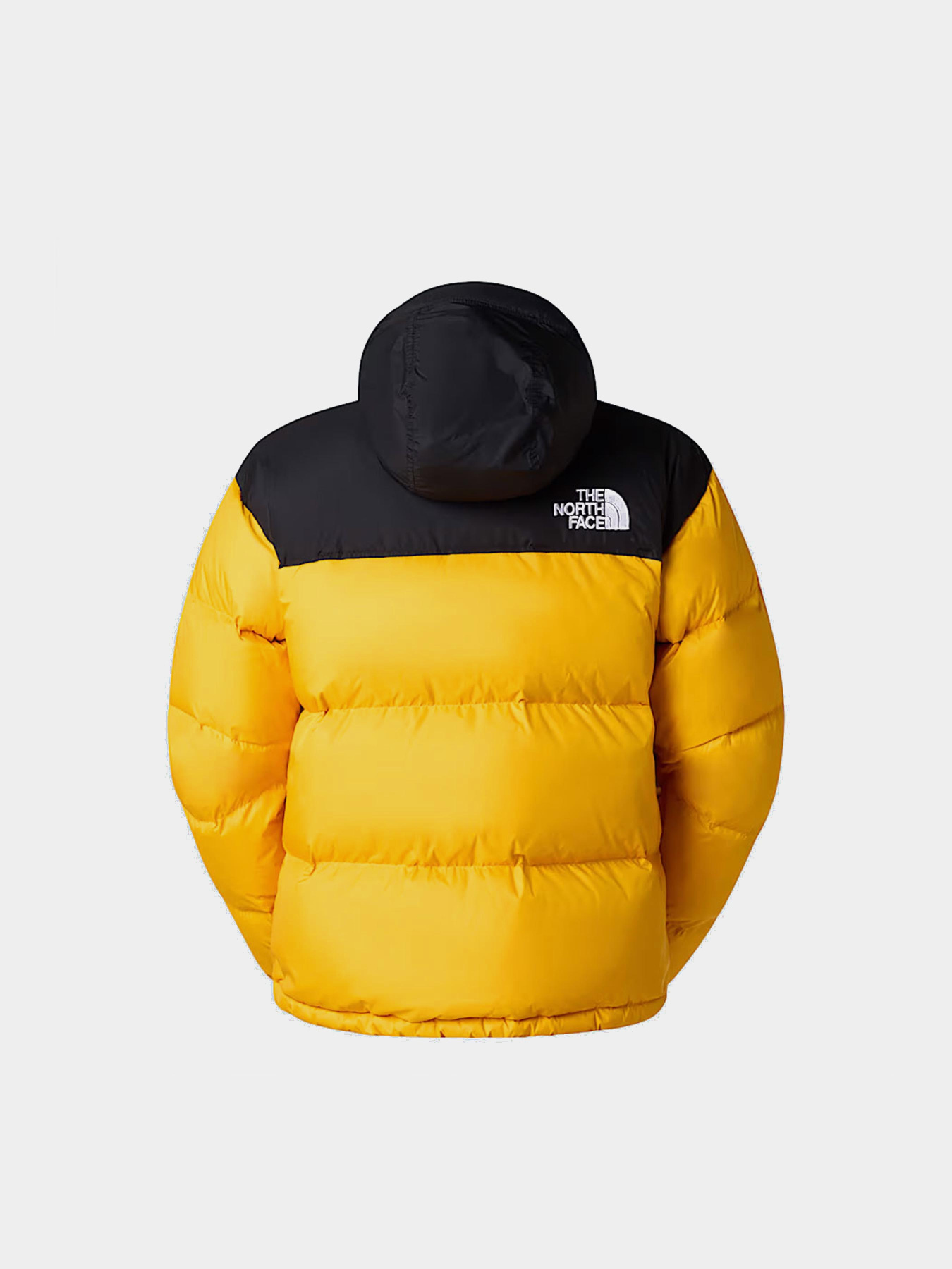 Пуховик The North Face модель NF0A3C8DGO81 Фото