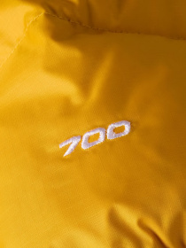 Пуховик The North Face модель NF0A3C8DGO81 Фото