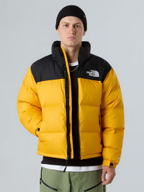 Пуховик The North Face модель NF0A3C8DGO81 Фото