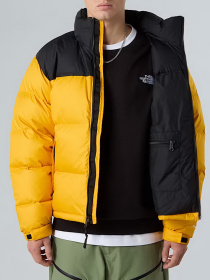 Пуховик The North Face модель NF0A3C8DGO81 Фото