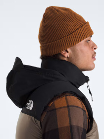 Утеплений жилет The North Face модель NF0A3JQQDHL1 Фото