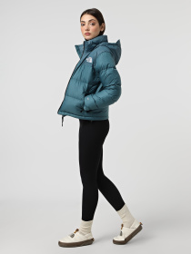 Зимняя куртка The North Face модель NF0A3XEOBQ51 Фото