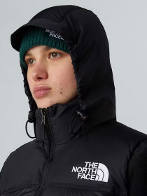 Жилет з утеплювачем The North Face Retro Nuptse модель NF0A3XEPGOF1 Фото