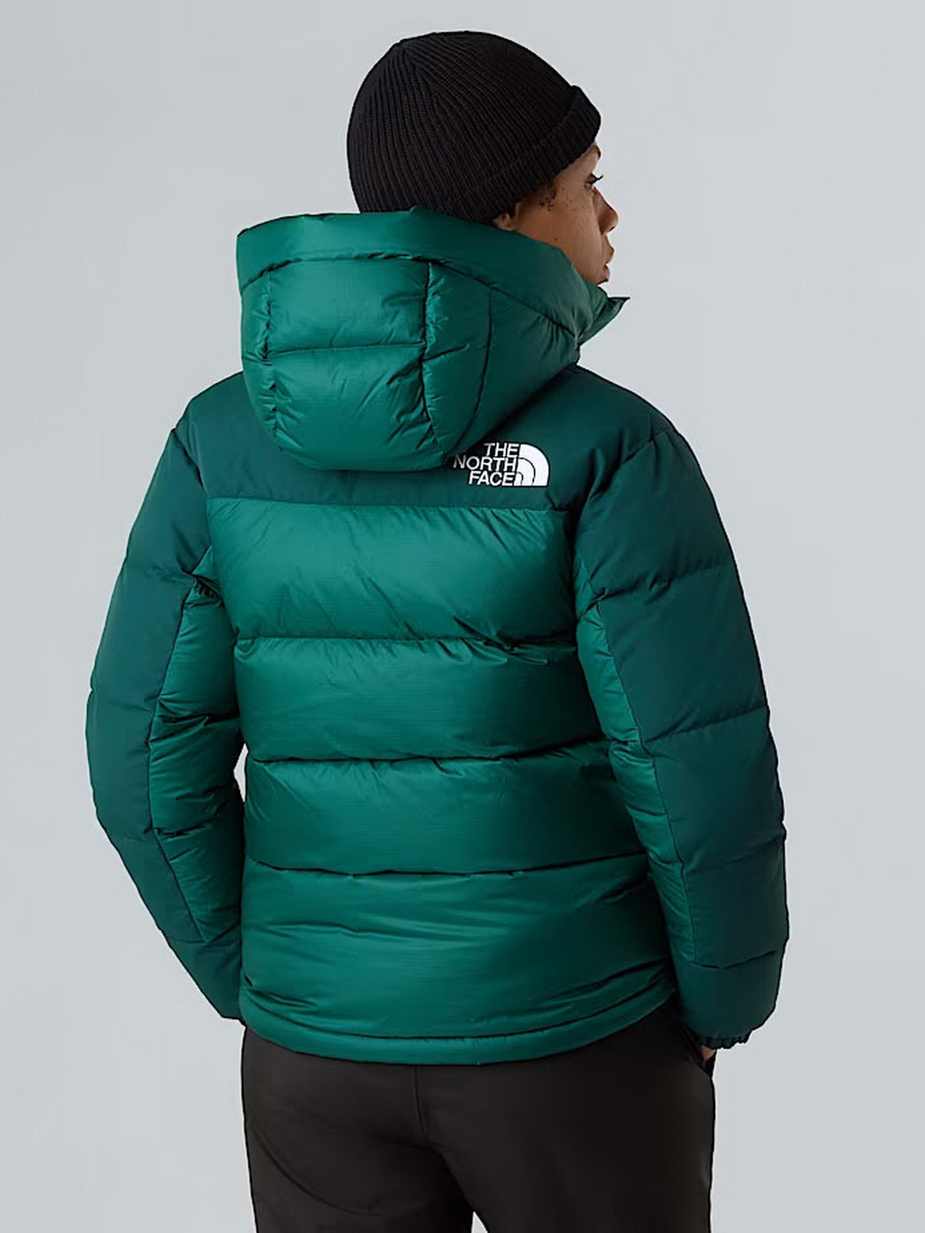 Зимняя куртка The North Face модель NF0A4R2WGM01 Фото