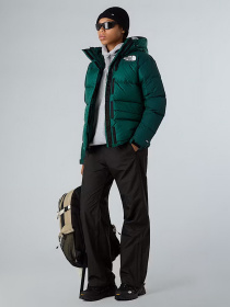 Зимняя куртка The North Face модель NF0A4R2WGM01 Фото