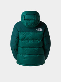 Зимняя куртка The North Face модель NF0A4R2WGM01 Фото