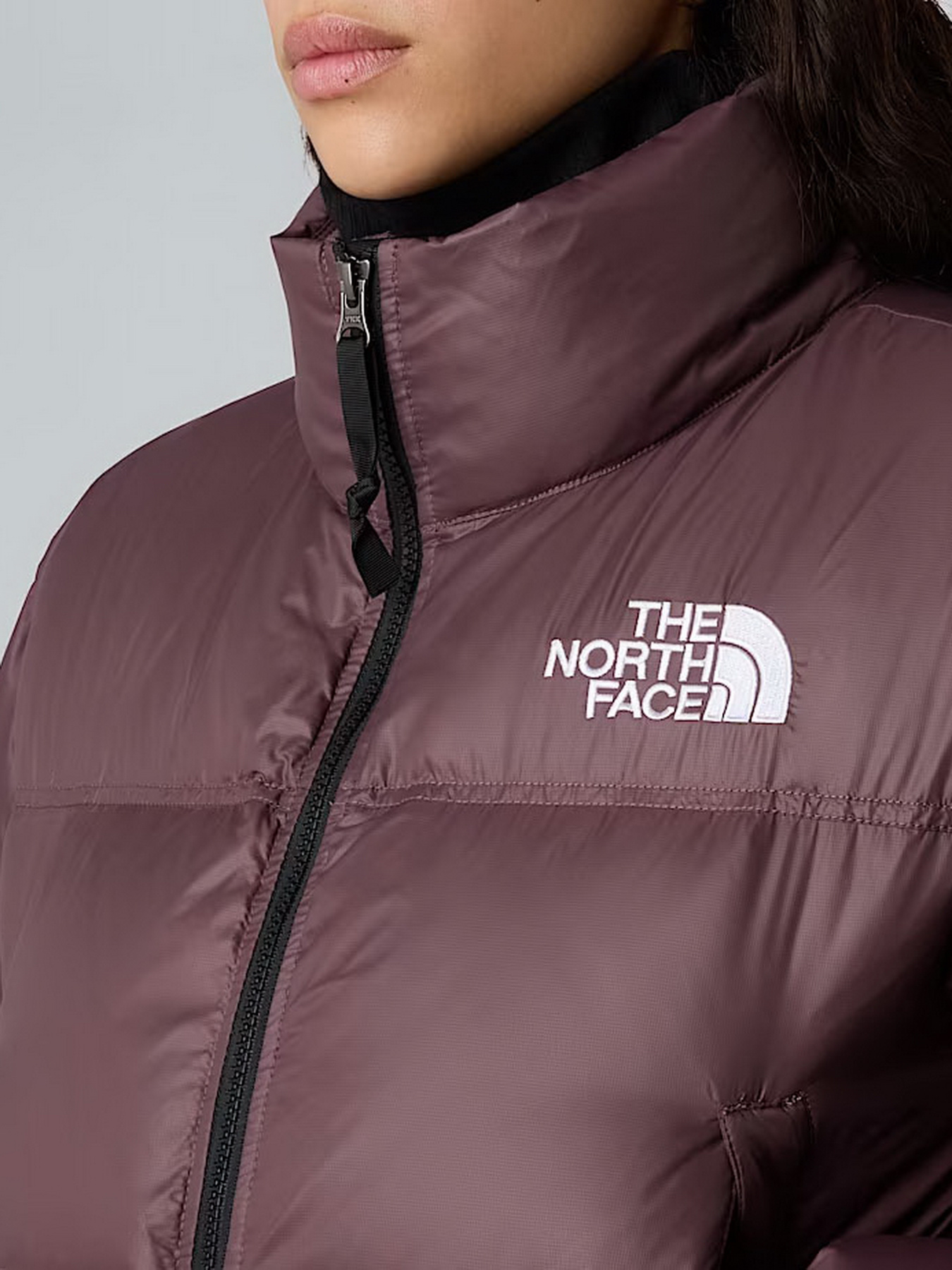 Зимняя куртка The North Face модель NF0A5GGEBQ71 Фото