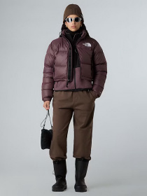 Зимняя куртка The North Face модель NF0A5GGEBQ71 Фото