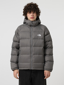 Куртки и дубленки The North Face модель NF0A5GIE0UZ1 Фото