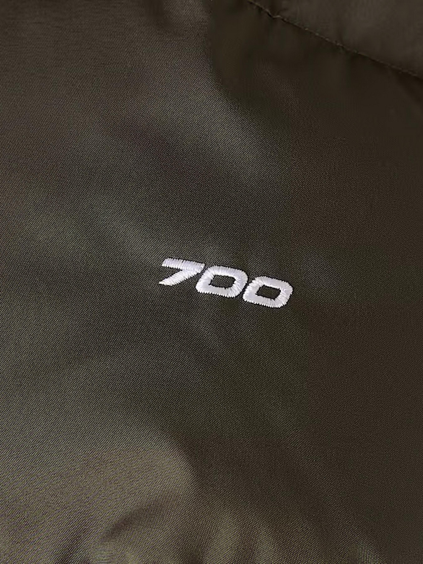 Парка The North Face модель NF0A832JBQW1 Фото