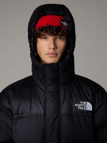 Парка The North Face модель NF0A832JGOE1 Фото