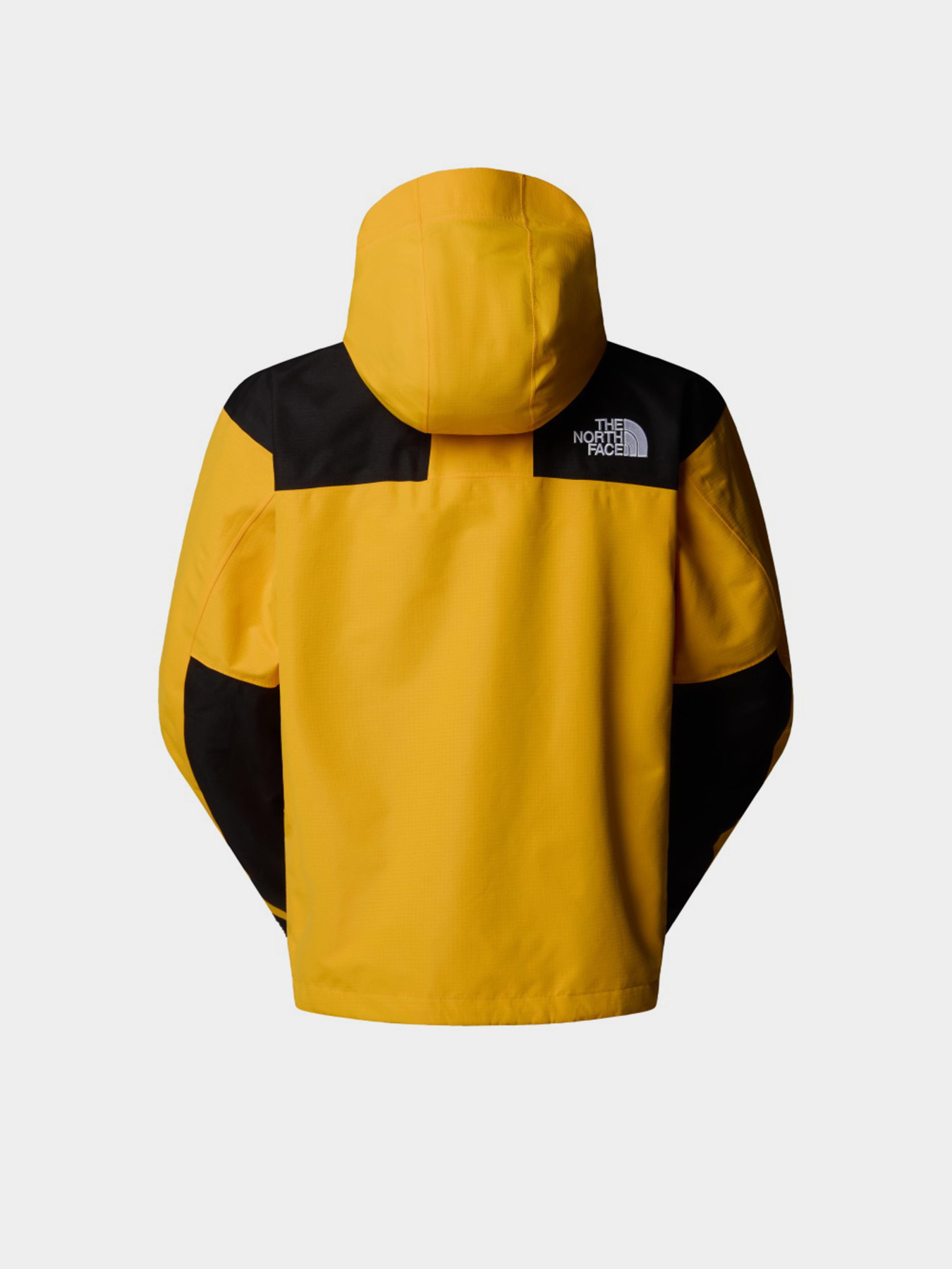 Зимняя куртка The North Face DryVent™ Mono Mountain модель NF0A88XFZU31 Фото
