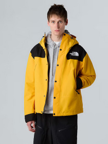 Ветровка The North Face DryVent™ Mono Mountain модель NF0A88XFZU31 Фото
