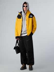 Ветровка The North Face DryVent™ Mono Mountain модель NF0A88XFZU31 Фото