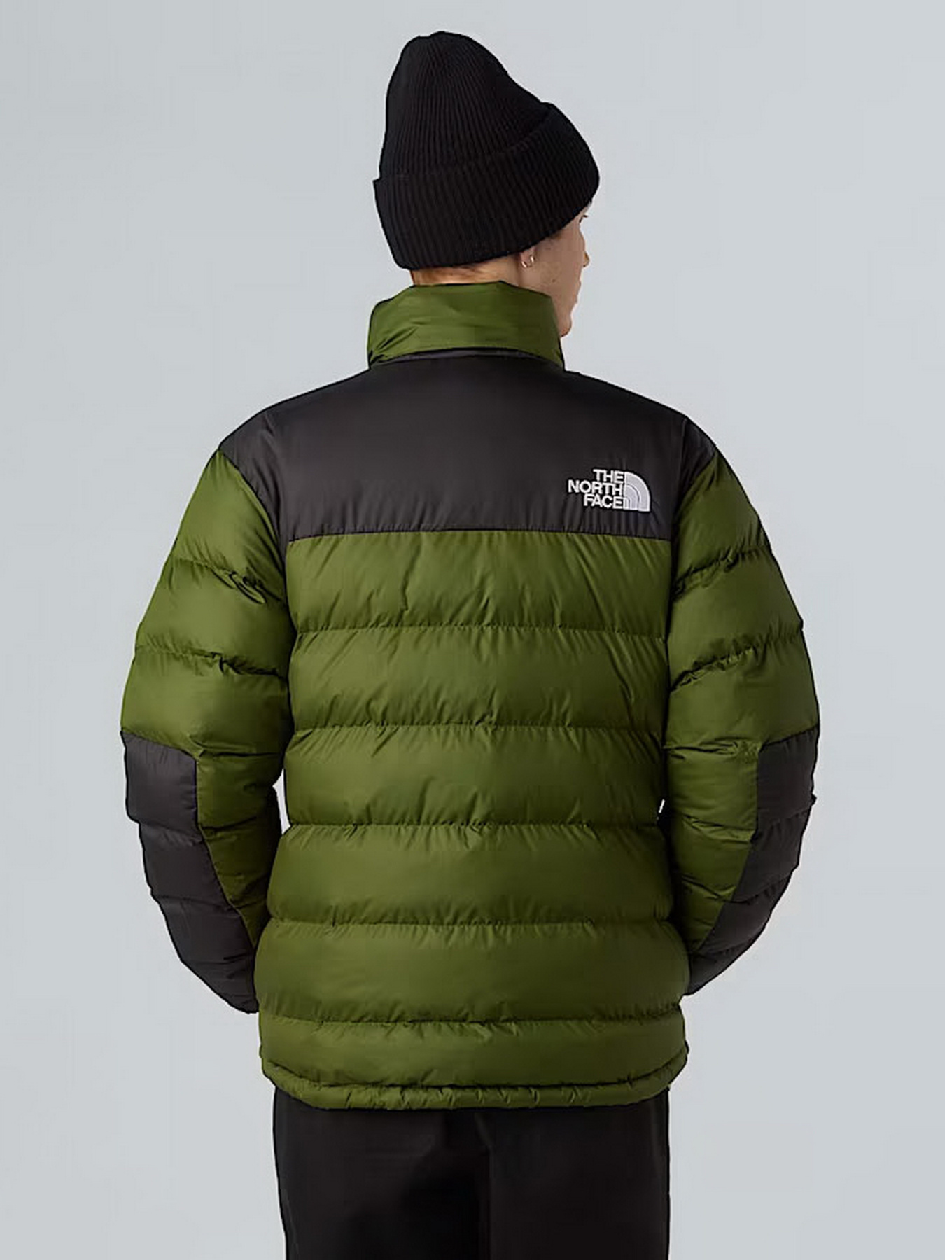 Зимняя куртка The North Face модель NF0A89EGBRI1 Фото
