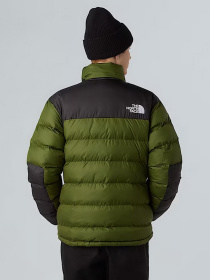 Зимова куртка The North Face модель NF0A89EGBRI1 Фото