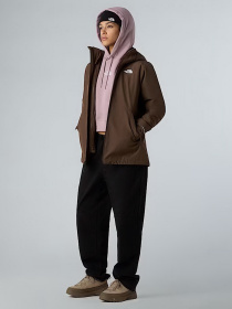 Зимова куртка The North Face Carto Mono Triclimate модель NF0A8D3D1OI1 Фото