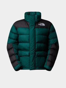 Зимняя куртка The North Face модель NF0A8DZX1KI1 Фото