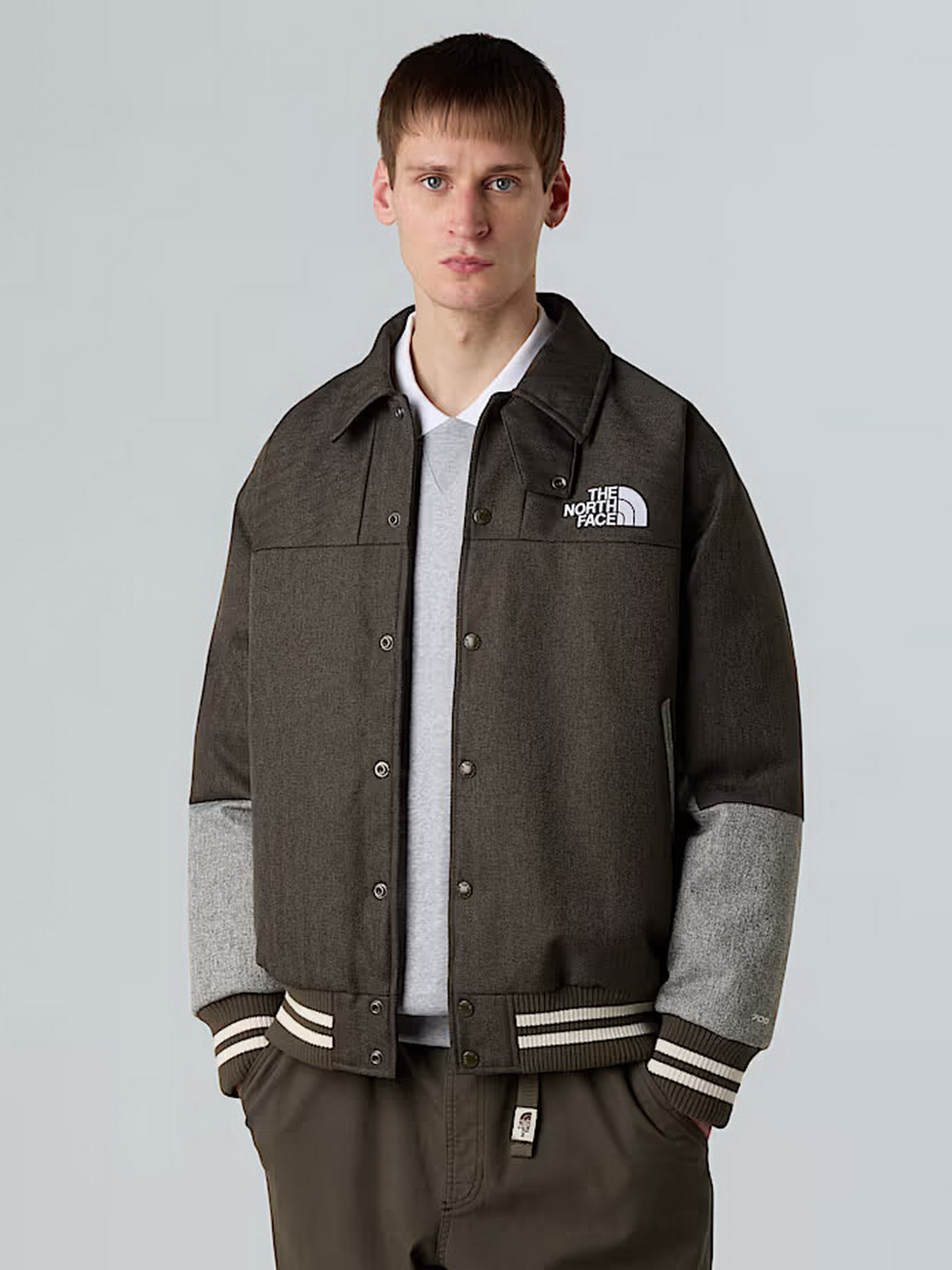 Демисезонная куртка The North Face модель NF0A8E1T9K01 Фото