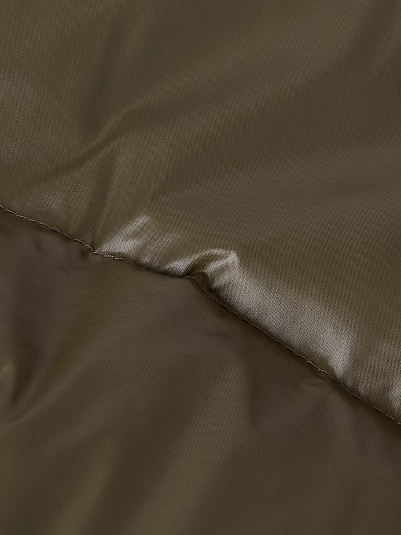 Демісезонна куртка The North Face модель NF0A8E1T9K01 Фото