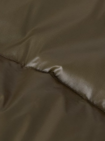 Демісезонна куртка The North Face модель NF0A8E1T9K01 Фото