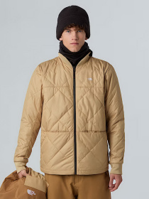 Демисезонная куртка The North Face модель NF0A7WYFWK21 Фото