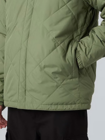 Демисезонная куртка The North Face модель NF0A82V3EXF1 Фото