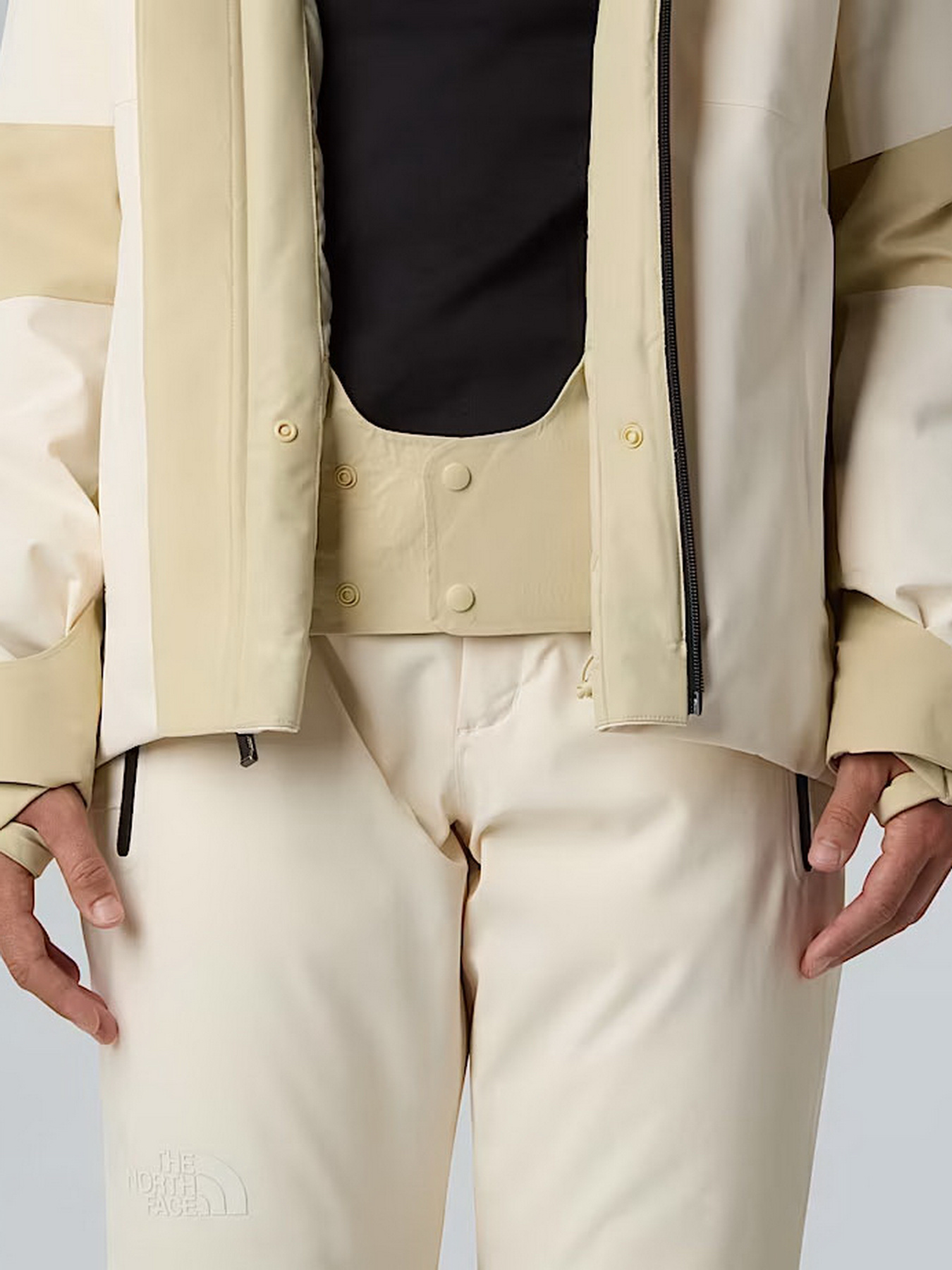 Аутдор и горнолыжная куртка The North Face модель NF0A8DDSTOB1 Фото