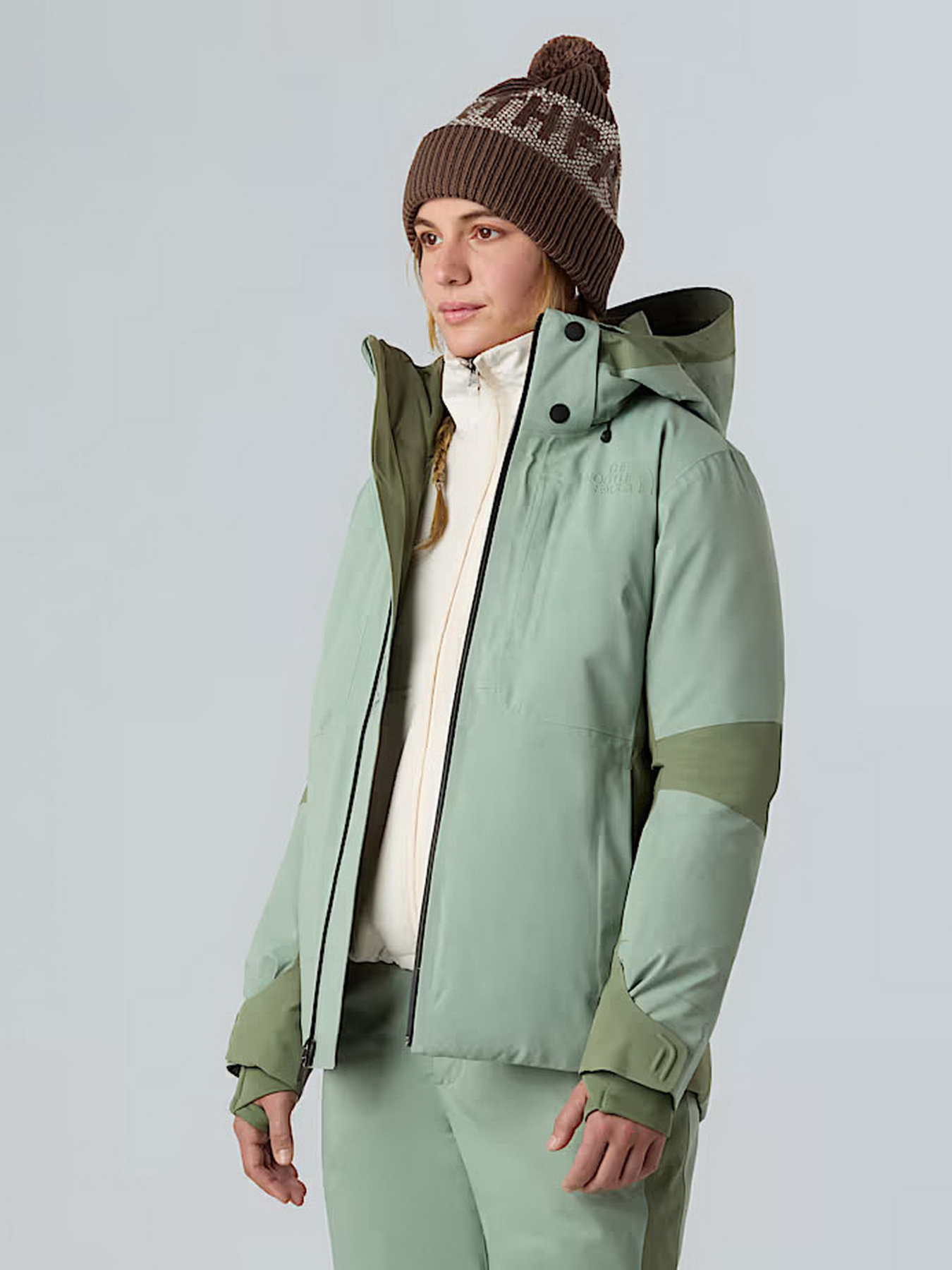 Демисезонная куртка The North Face модель NF0A8DDTBQ11 Фото