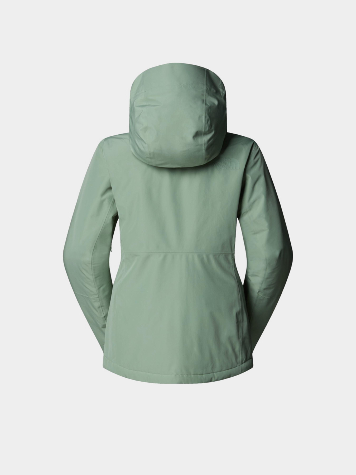 Демисезонная куртка The North Face модель NF0A8DDTBQ11 Фото