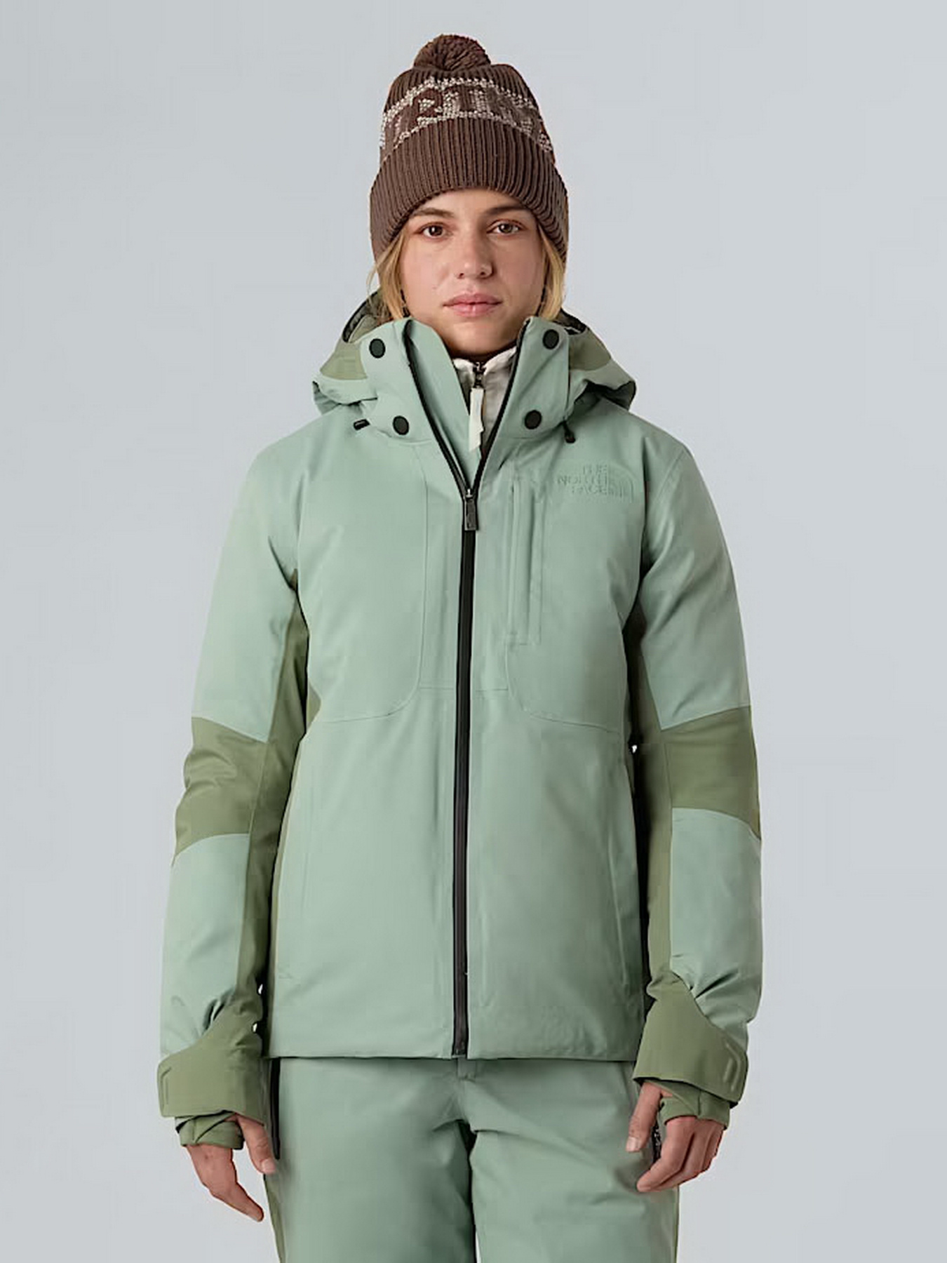 Демисезонная куртка The North Face модель NF0A8DDTBQ11 Фото