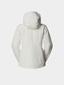 Демисезонная куртка The North Face модель NF0A8DDTQLI1 Фото