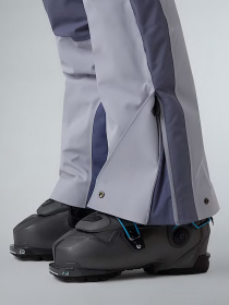 Лыжные штаны The North Face модель NF0A8DEYEHA1 Фото