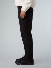 Штаны спортивные The North Face Basin Pro модель NF0A8B4YJK31 Фото