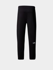 Штаны спортивные The North Face Reaxion 2.0 модель NF0A8DRSKS71 Фото