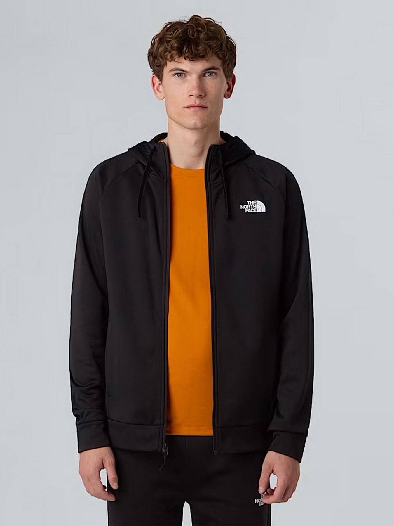 Кофта The North Face Reaxion 2.0 модель NF0A8DVYKS71 Фото