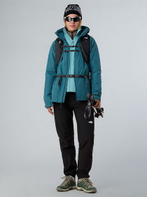 Штаны спортивные The North Face модель NF0A8E1HJK31 Фото