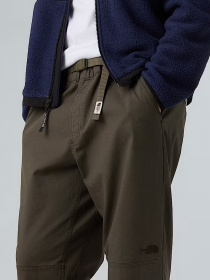 Брюки повседневные The North Face Beta Utility Belted модель NF0A8B6221L1 Фото